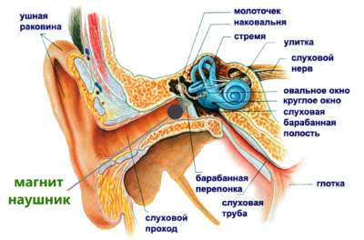 магнитный микронаушник в ушном канале